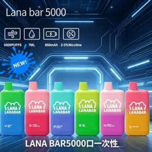 LANA BAR5000口可充电拋棄式一次性電子煙(3.0%)