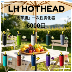 LH HOTHEAD皮革瓶6000口拋棄式電子煙可充電一次性