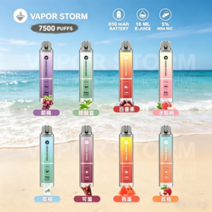 VAPOR STORM風暴辣妹7500口拋棄式一次性可充電電子煙（5%）